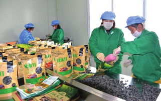 白山 創(chuàng)新創(chuàng)業(yè)風(fēng)鵬正舉，食品互聯(lián)網(wǎng)銷售譜寫(xiě)新篇章